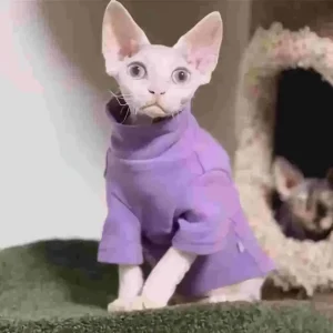 Cat Clothes