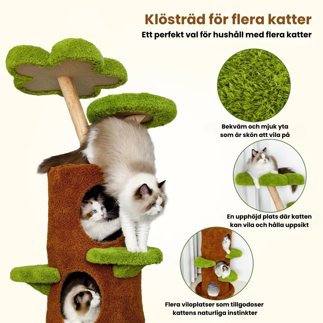 Klösträd i massivt trä - Bild 5
