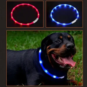 LED Hundhalsband