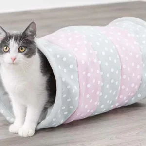 Cat Tunnel