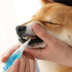 Tandgel För Hund (Bäst i test)