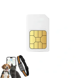 SIM-kort med 1 års data för GPS-halsband för husdjur