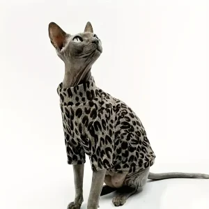 Cat Clothes